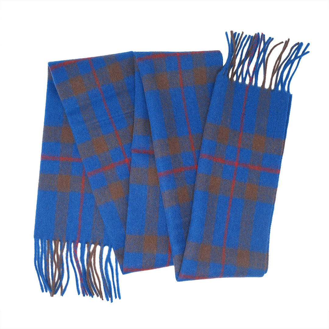 Tartan of Scotland 100% Pure New Wool Clan Scarf - Elliot