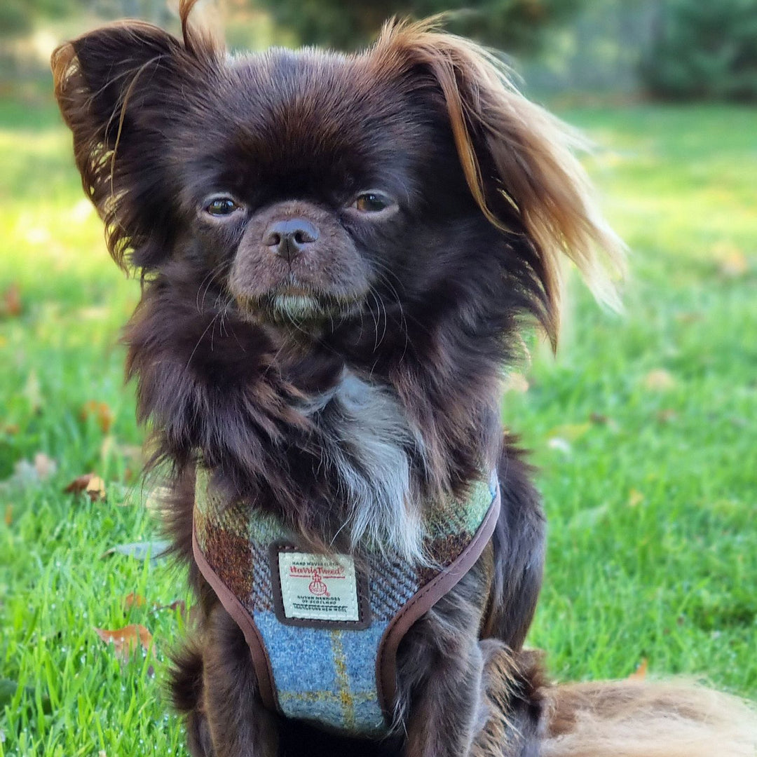 9d641bd4870f625eb6f7351fffd515cd