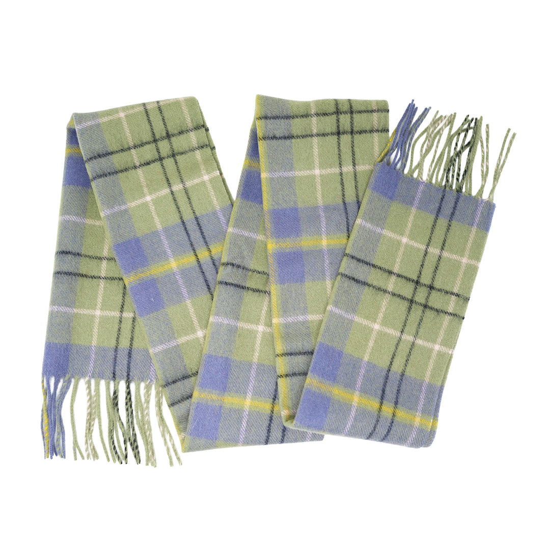 Tartan of Scotland 100% Pure New Wool Clan Scarf - Taylor