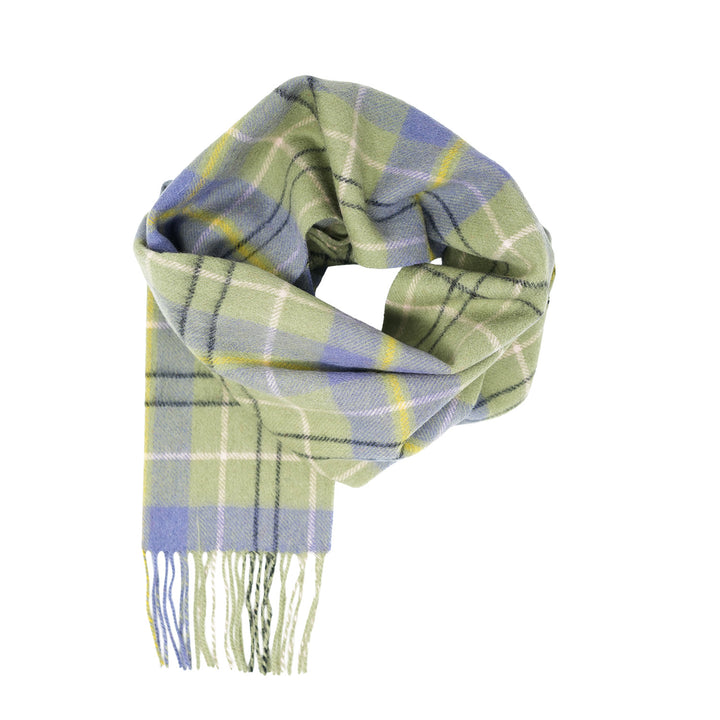 Tartan of Scotland 100% Pure New Wool Clan Scarf - Taylor