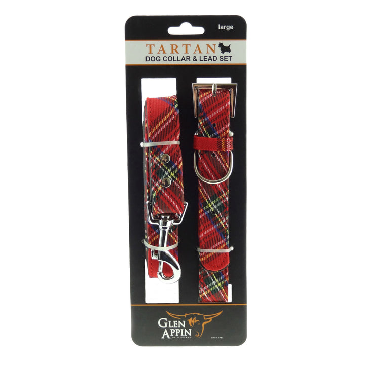 Scottish Tartan Dog Collar &amp; Lead Set – Highland Walks - Royal Stewart