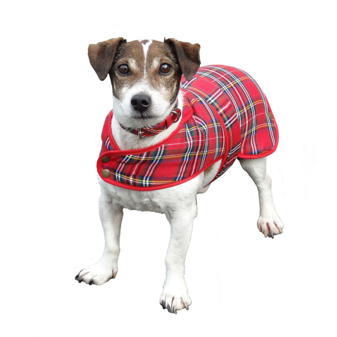 Dog Coat Tartan Bw - Size L - Dunedin Cashmere